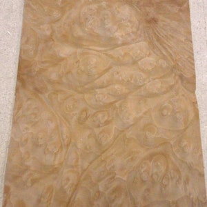 Madrone Burl wood veneer 5&quot; x 8&quot; raw no backing 1/42&quot; thickness &quot;AA&quot; grade