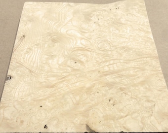 Esche Maser Weiß Holzfurnier 12 "x 12" ohne Unterstützung Rohfurnier 1/42" Dicke