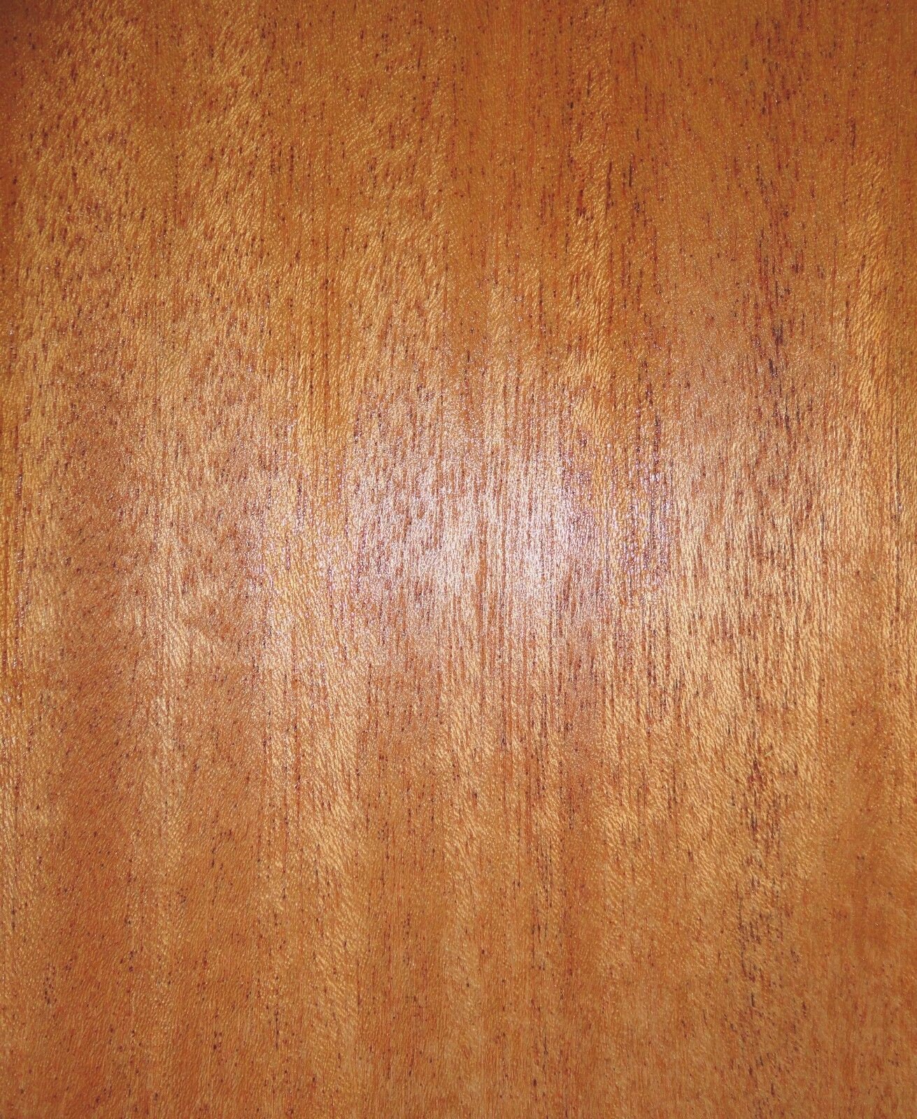 Sapele Ribbon Mahogany wood veneer 5" x 122" raw no backing 1/42" thickness