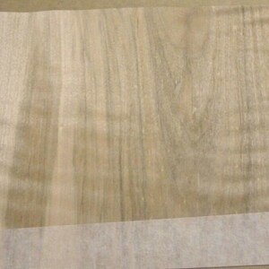 Maple Spalted Ambrosia Wormy Figured Fiddleback wood veneer 10&quot; x 5&quot; raw 1/42&quot;