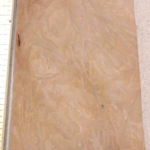 Madrone Burl wood veneer 3&quot; x 9&quot; raw no backing 1/42&quot; thickness &quot;AA&quot; grade