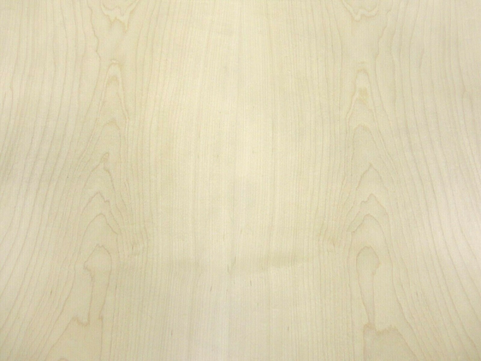 Maple Wood Veneer 48 X 96 With Wood Backer 4' Etsy