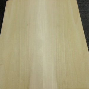 Poplar Natural wood veneer 24 x 24 with paper backer 1/40 thickness A grade image 4