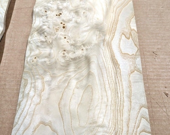 Esche Maser Weiß Echtholzfurnier 10 "x 22" roh ohne Unterlage 1/42" Dicke A grade