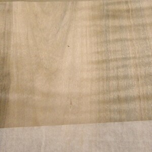 Maple Spalted Ambrosia Wormy Figured Fiddleback wood veneer 7&quot; x 6&quot; raw 1/42&quot;