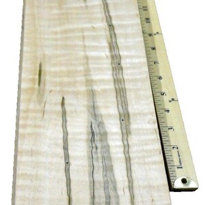 Maple Spalted Wormy Figured wood veneer 6&quot; x 126&quot; raw 1/42&quot; no backing A grade