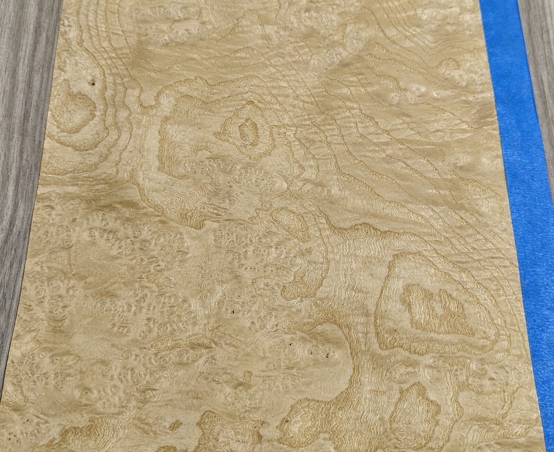 White Ash Burl Wood Veneer 11 X 17 Raw No Backing 1/42 Thickness AA Grade Etsy