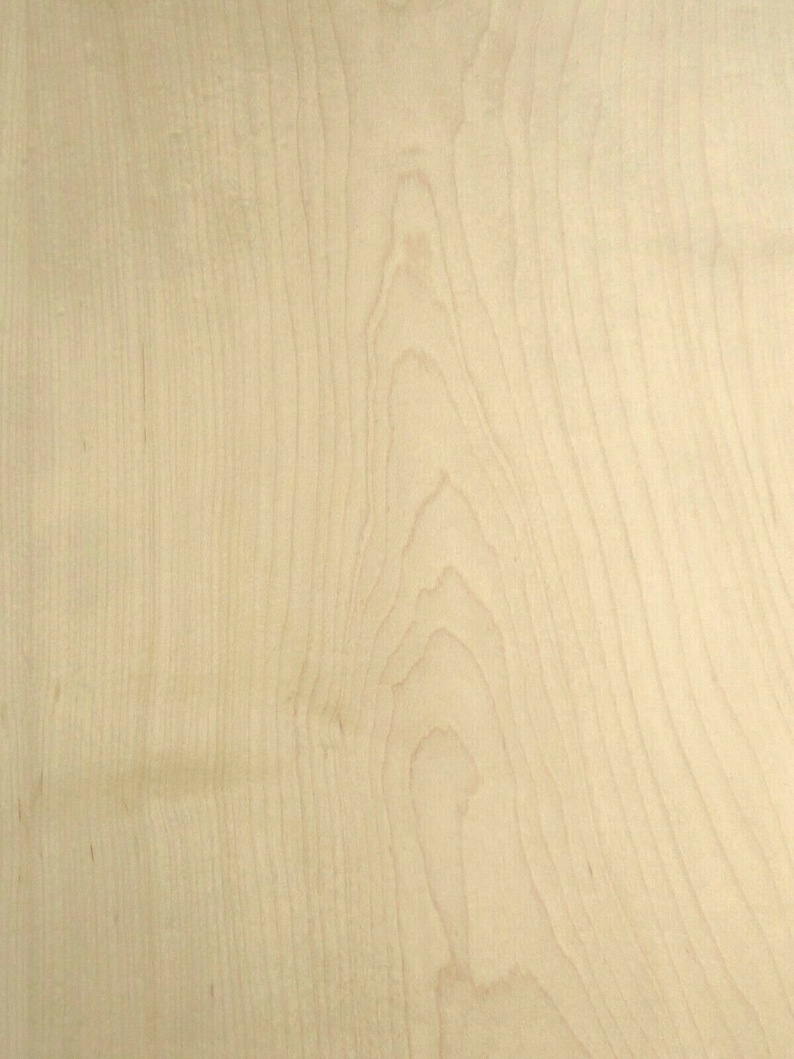 Maple Wood Veneer 48 X 96 With Wood Backer 4' Etsy