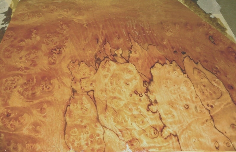 Pepperwood Pimento Burl Wood Veneer 14 X 32 Raw No Etsy