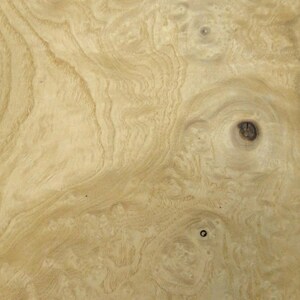 Chapa de madera de fresno blanco nudoso de 5" x 9" sin reverso, grosor de 1/42" (tamaño de muestra)