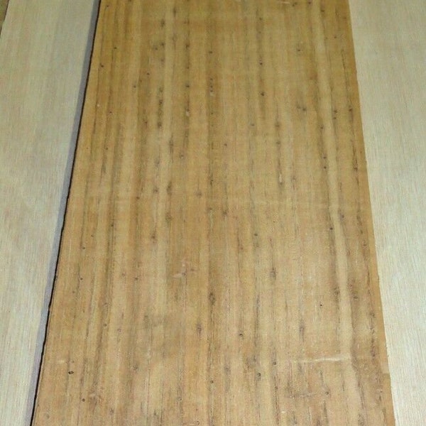 Wormy Chestnut wood veneer 5.5" x 49" raw no backing 1/32" thickness "A" grade