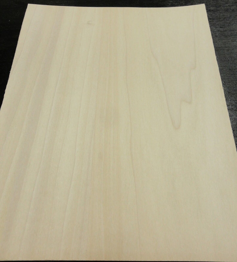 Poplar Natural wood veneer 24 x 24 with paper backer 1/40 thickness A grade image 5