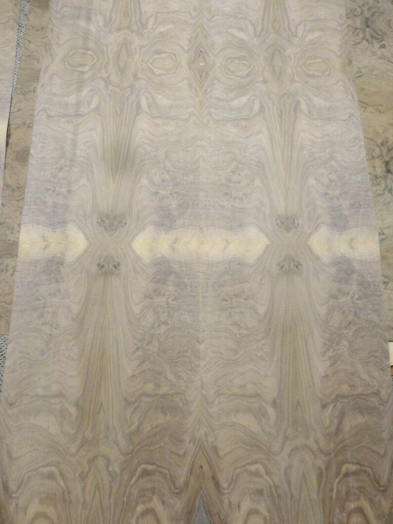 Walnut Crotch wood veneer 36quot; x 70quot; with paper backer Walnut Crotch wood veneer 36quot; x 70quot; with paper backer