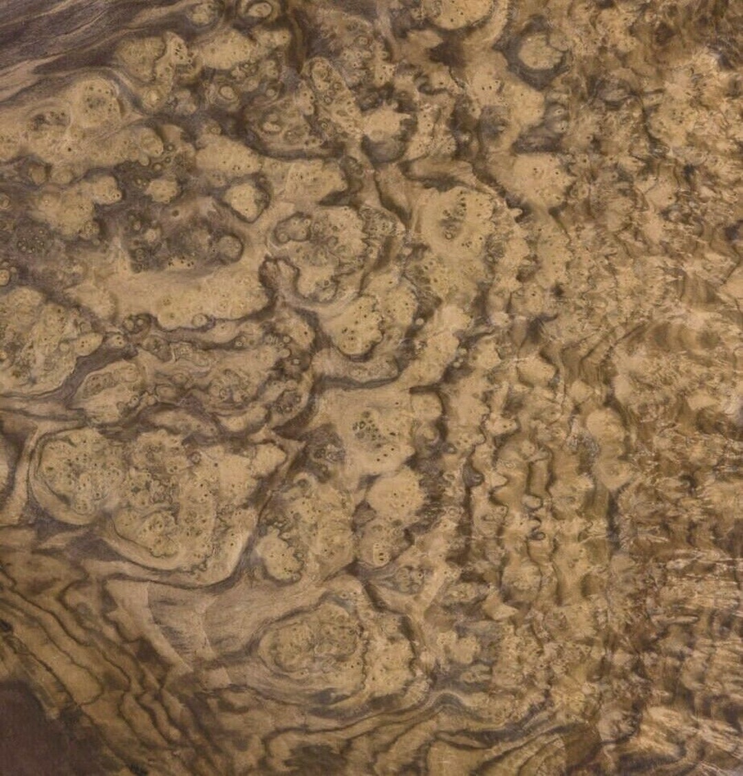 Walnut Burl Wood Veneer 18 X 24 Raw No Backing 1/42 Thickness AAA Grade