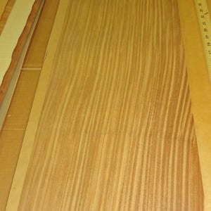 Afrormosia wood veneer 11" x 40" raw no backing 1/42" thickness Afromosia roll