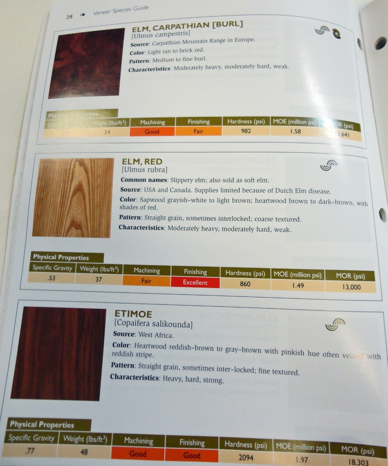 Wood Veneer Sample Book 100 Species 5 X 8 Size Etsy UK