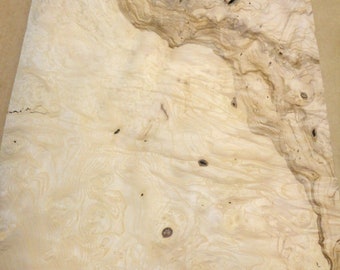 Olive Ash Burl wood veneer 9" x 15" raw no backing 1/42" thickness "AA" grade 