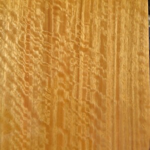 Figured Australian Eucalyptus wood veneer 9.5&quot; x 16&quot; raw 1/42&quot; thickness &quot;AA&quot;