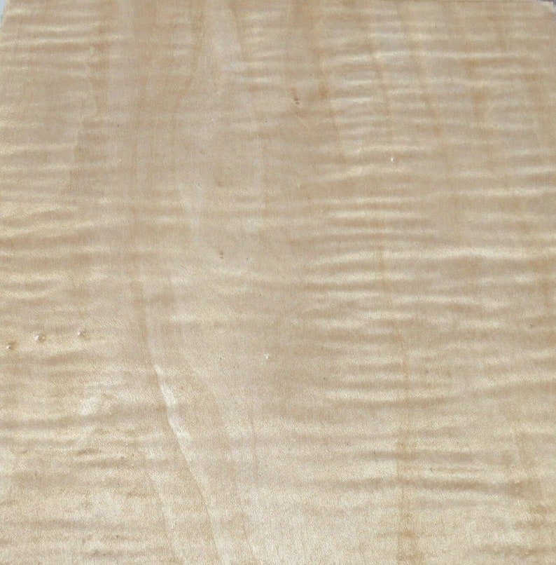 Maple Curly Figured Tiger Wood Veneer 24 X 48 With Etsy