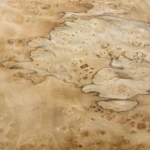 Pimento Pepperwood Burl wood veneer 14&quot; x 20&quot; raw veneer no backing 1/42&quot; thick