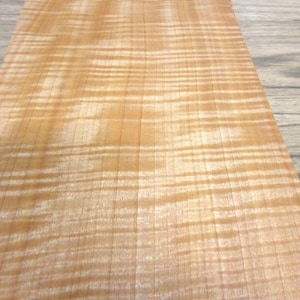 Anigre Quarter Figure Tiger Mottle wood veneer 8&quot; x 20&quot; raw 1/42&quot; thickness AA