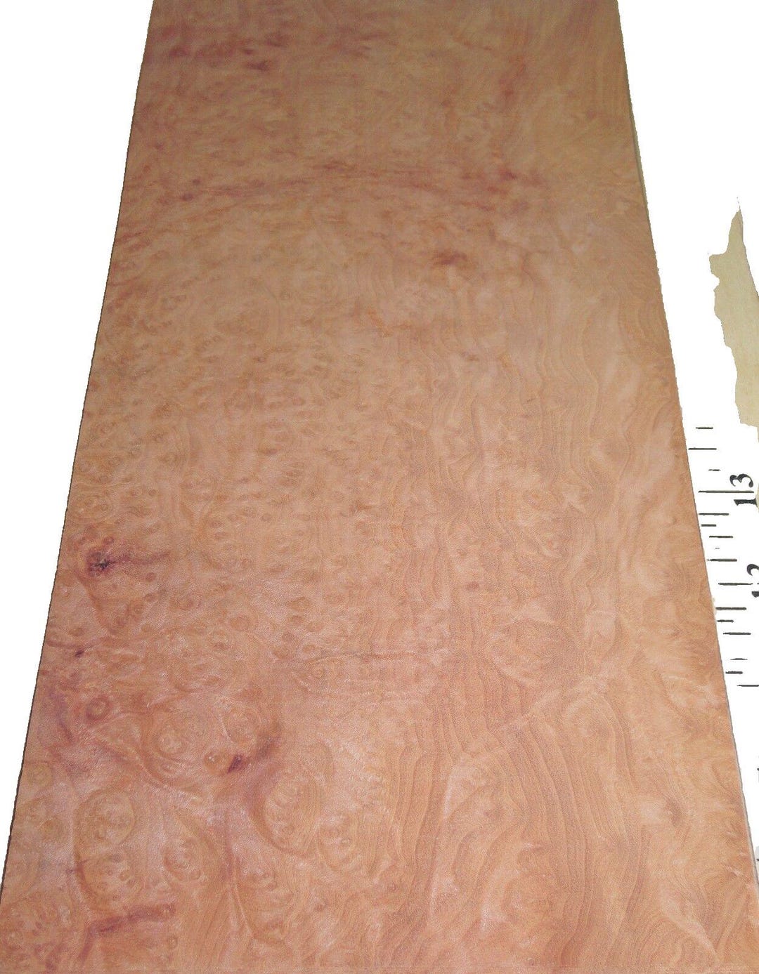 Flitch Sample Madrone Burl Wood Veneer 6.5