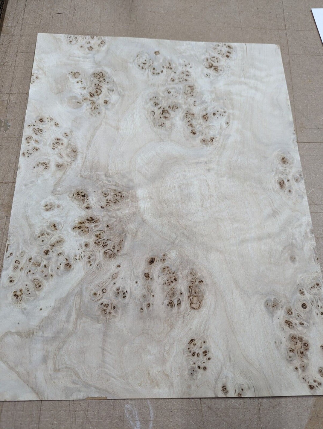 Mappa Burl Wood Veneer Sheet 12 X 16 With Paper Etsy