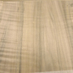 Maple Spalted Ambrosia Wormy Figured Fiddleback wood veneer 10&quot; x 10&quot; raw 1/42&quot;