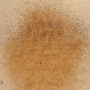 Madrone Cherry Burl wood veneer 11&quot; x 25&quot; with paper backer 1/40&quot; thickness AA