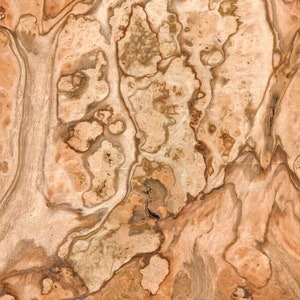 Pimento Pepperwood Burl wood veneer 7&quot; x 9&quot; raw no backing 1/42&quot; thickness 75