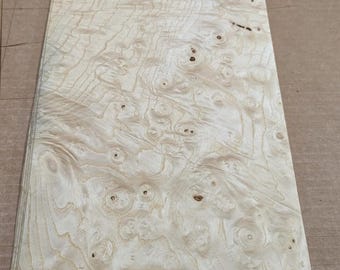 Ash White Maserholzfurnier 9 "x 26" rohes kein Schutzpapier 1/42" Stärke A Klasse