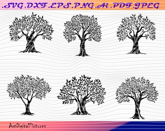 Download Olive Tree Svg Etsy