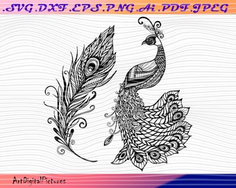 Download Peacock Mandala Tail Etsy