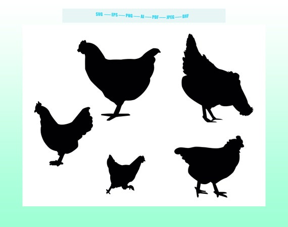Huhn Svg Silhouette Tier Haustier Illustration