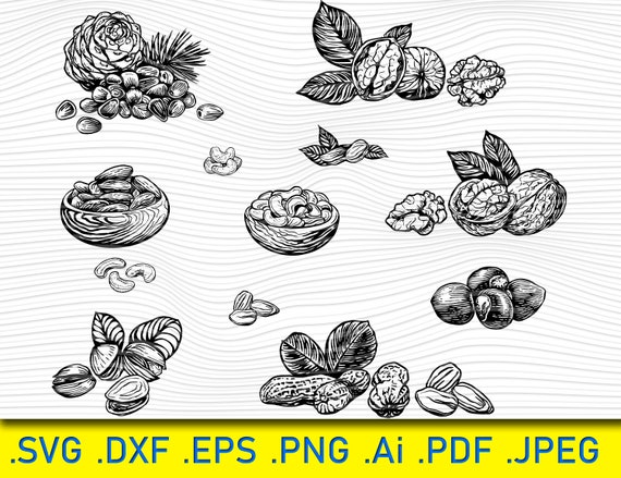 Download Nut Svg Bundle Nutcracker Svg Nuts Vector Silhouette Nut Etsy