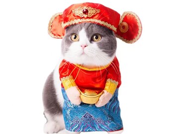 Chinese new top year cat costume