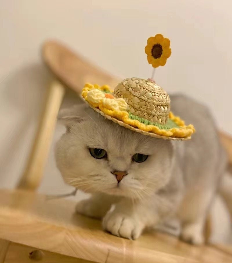 Cat Dog Straw Hat – Sugar Pet Shop