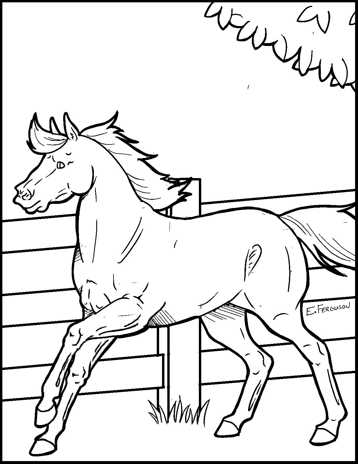 Galloping Horse Colouring Page - Etsy