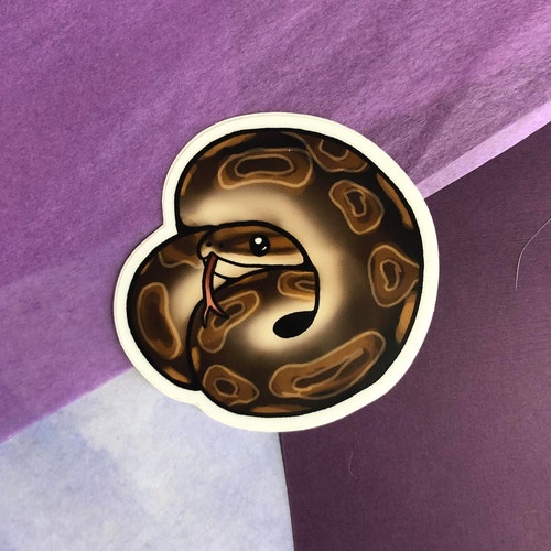 Ball Python Sticker Sheet Snake Decal Pack Vinyl Waterproof - Etsy