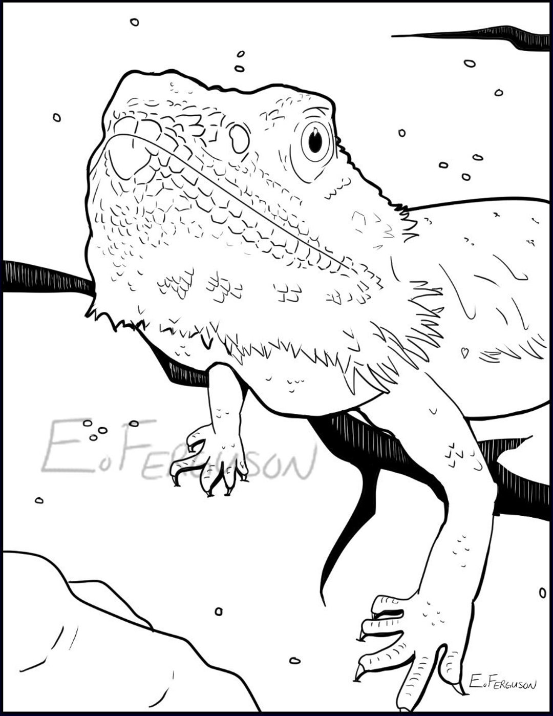 Bearded Dragon Colouring Page - Etsy