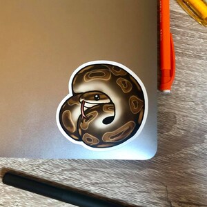 Ball Python Vinyl Sticker - Etsy
