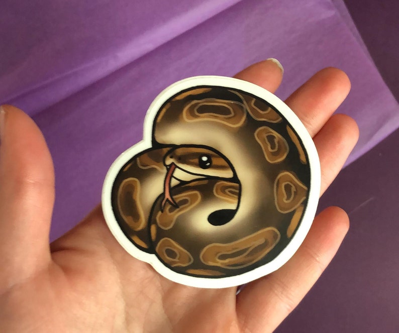 Ball Python Vinyl Sticker - Etsy UK