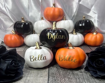 Può includere: Un gruppo di piccole zucche decorative con nomi scritti in lettere dorate. Le zucche sono di vari colori, tra cui arancione, bianco e nero. I nomi sulle zucche sono "Dylan", "Bella" e "Billie".