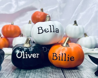 Può includere: Una collezione di mini zucche arancioni, bianche e nere con i nomi Bella, Oliver e Billie scritti su di esse.