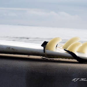 Surfboards