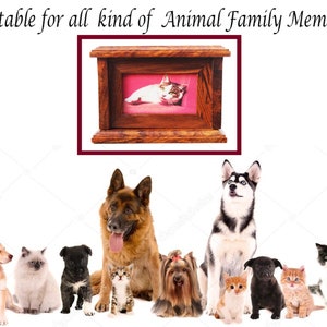 K&ouml;nnte beinhalten: Eine h&ouml;lzerne Tierurne mit einem kleinen gerahmten Foto einer Katze darin. Die Urne ist f&uuml;r alle Arten von Familienmitgliedern geeignet. Die Urne ist von einer Gruppe von Hunden und Katzen umgeben.