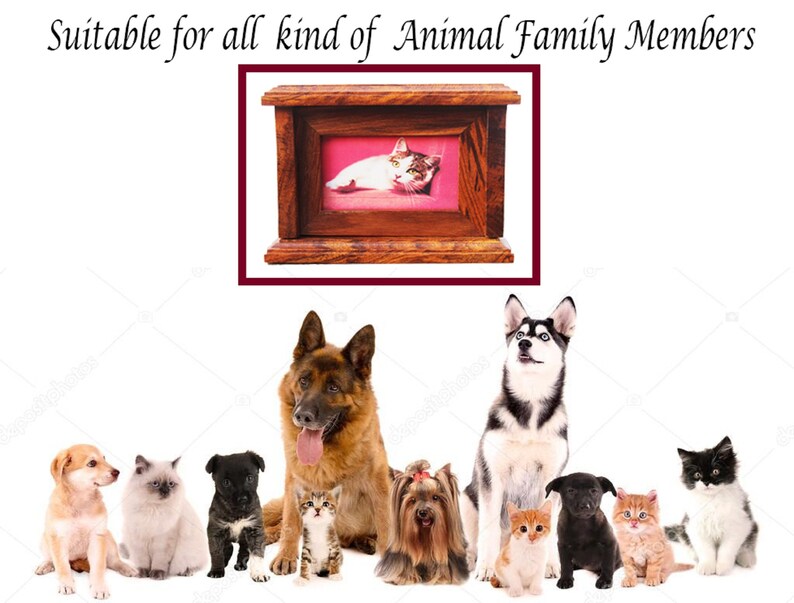 K&ouml;nnte beinhalten: Eine h&ouml;lzerne Tierurne mit einem kleinen gerahmten Foto einer Katze darin. Die Urne ist f&uuml;r alle Arten von Familienmitgliedern geeignet. Die Urne ist von einer Gruppe von Hunden und Katzen umgeben.