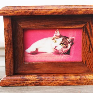 K&ouml;nnte beinhalten: Ein Bilderrahmen aus Holz mit einem Foto einer wei&szlig;en und braunen Katze, die auf einer rosa Oberfl&auml;che liegt. Der Rahmen hat eine dunkelbraune Farbe und einen erh&ouml;hten Rand.