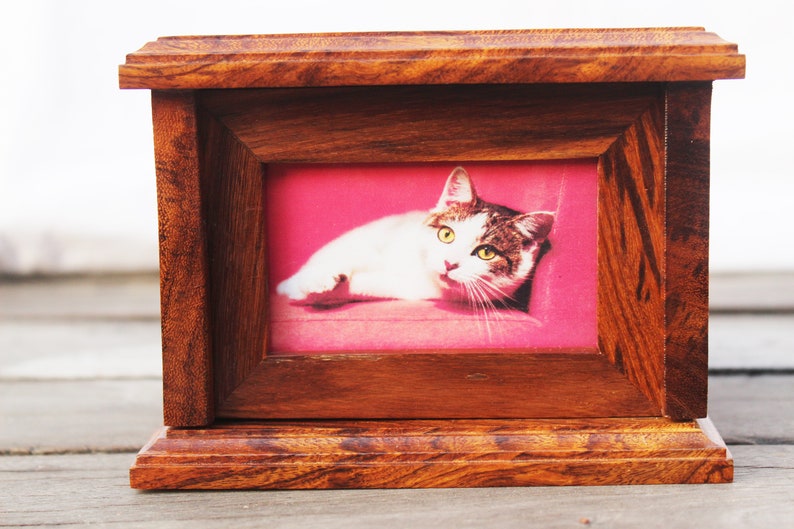 K&ouml;nnte beinhalten: Ein Bilderrahmen aus Holz mit einem Foto einer wei&szlig;en und braunen Katze, die auf einer rosa Oberfl&auml;che liegt. Der Rahmen hat eine dunkelbraune Farbe und einen erh&ouml;hten Rand.