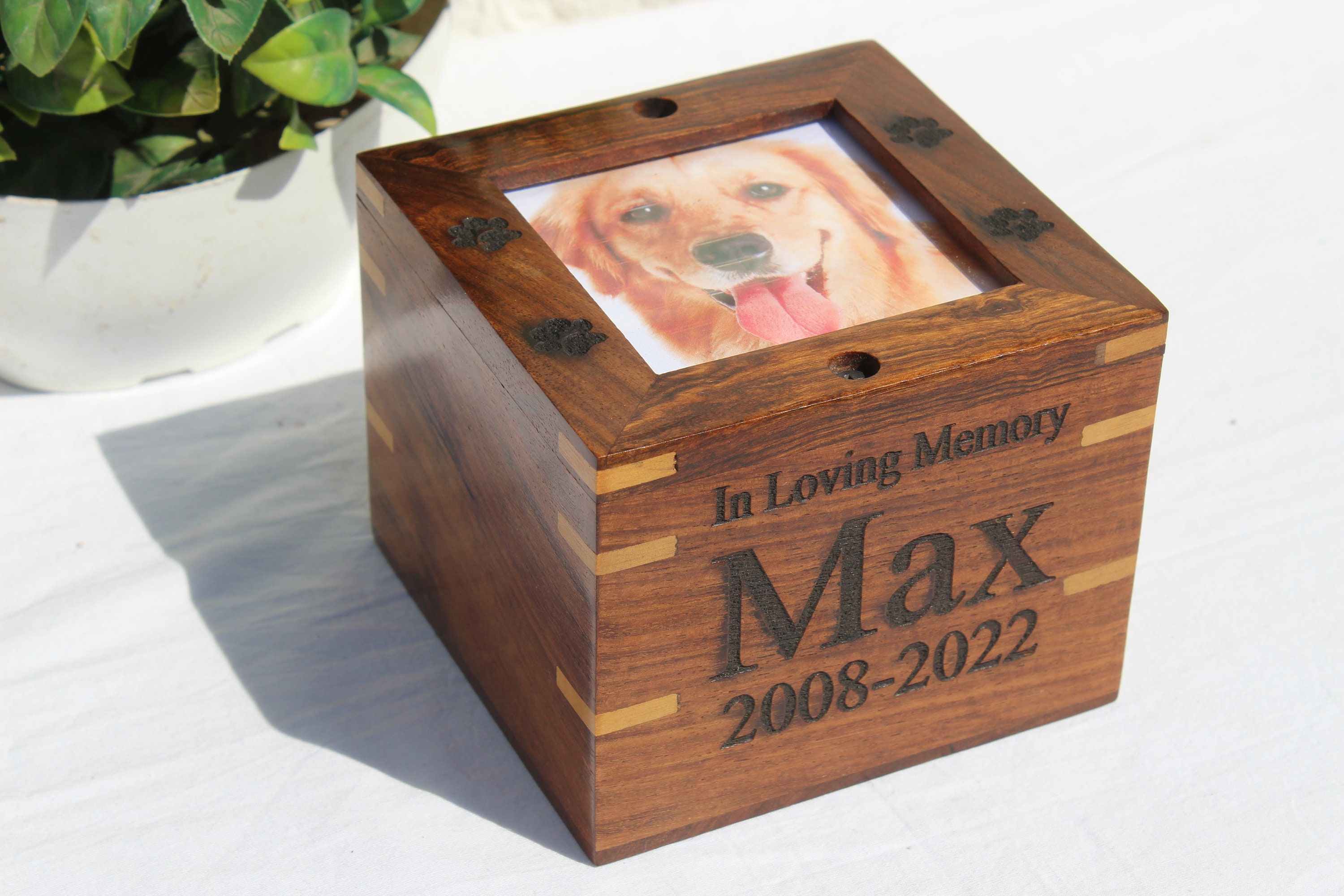 Pet Cremation Box - Etsy